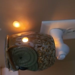 Night light plug in owl wax warmer switch candle lid